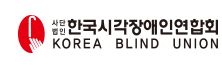 한국시각장애인연합회